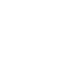 Successful guidance for immigrants